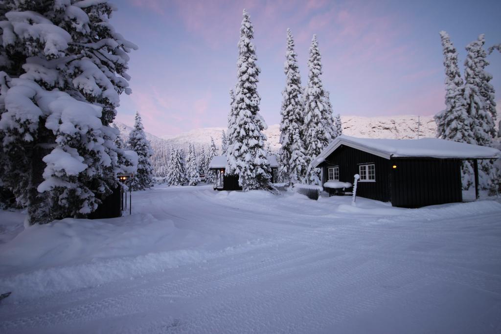Haglebu Feriesenter Lägenhet Eggedal Exteriör bild